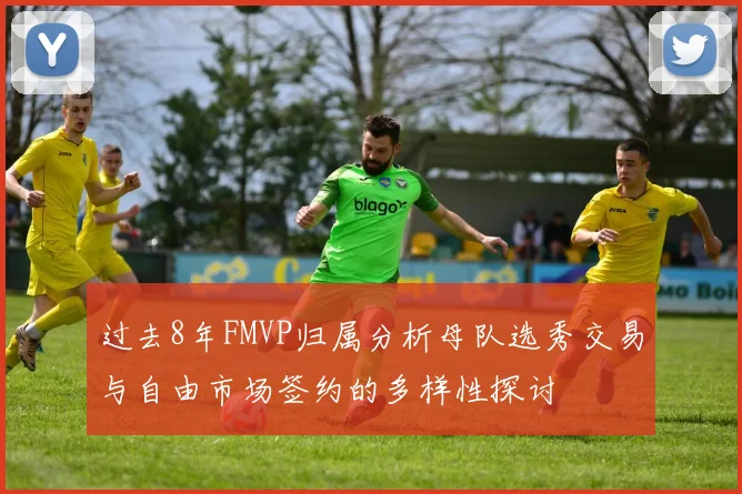 过去8年FMVP归属分析母队选秀交易与自由市场签约的多样性探讨